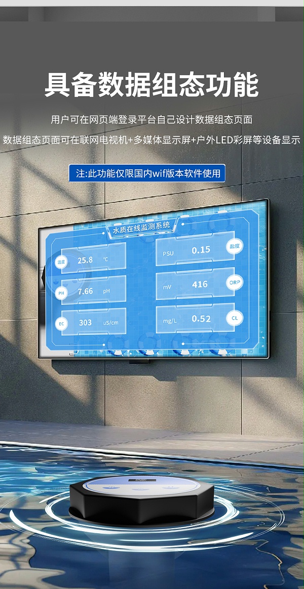 泳池水质监测仪