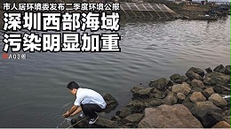 深圳“河长”制度的实行